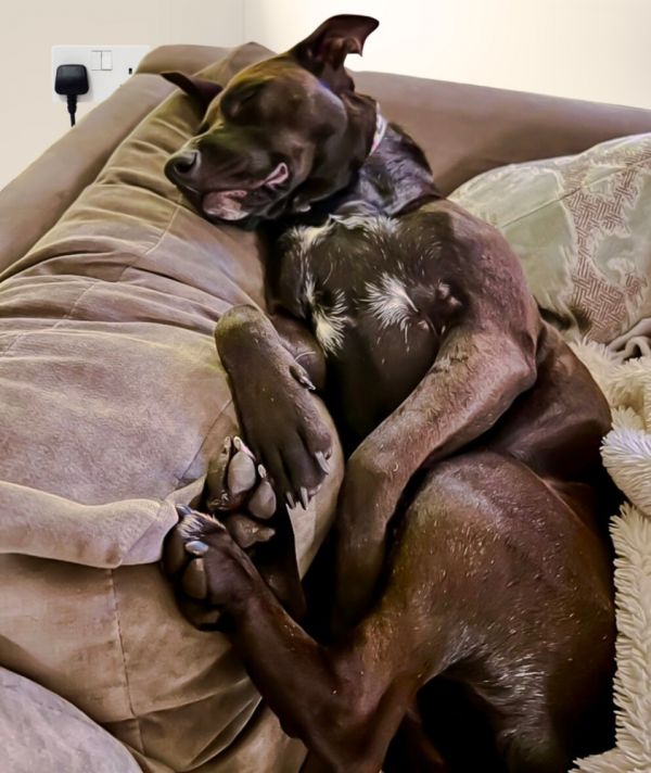 Betty White thumbnail 3