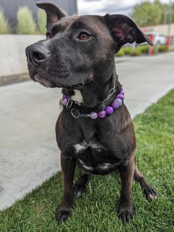 Betty White thumbnail 4