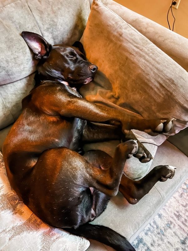 Betty White thumbnail 5