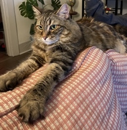 Sabrina