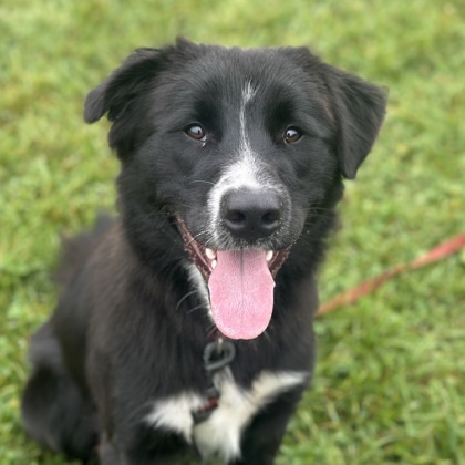 Petrichor thumbnail 2