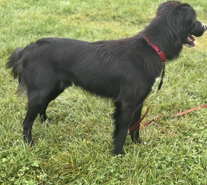 Petrichor thumbnail 3