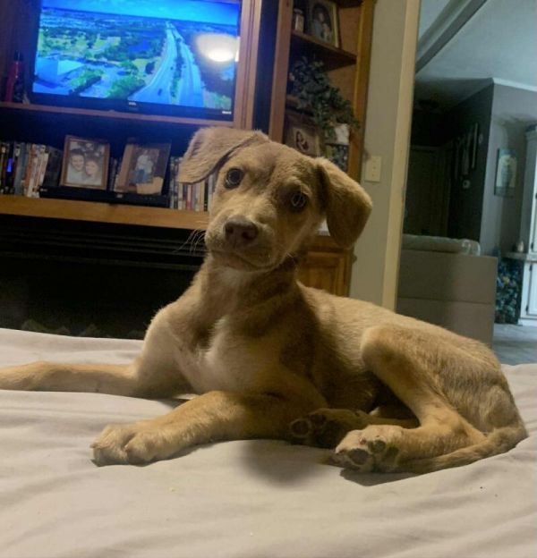 Mt Logan  Mini photo 1