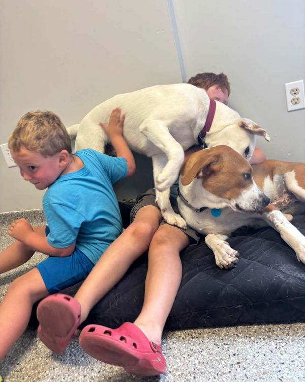 Quill &amp; Bill thumbnail 2