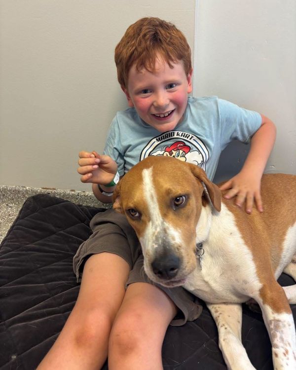 Quill &amp; Bill thumbnail 3