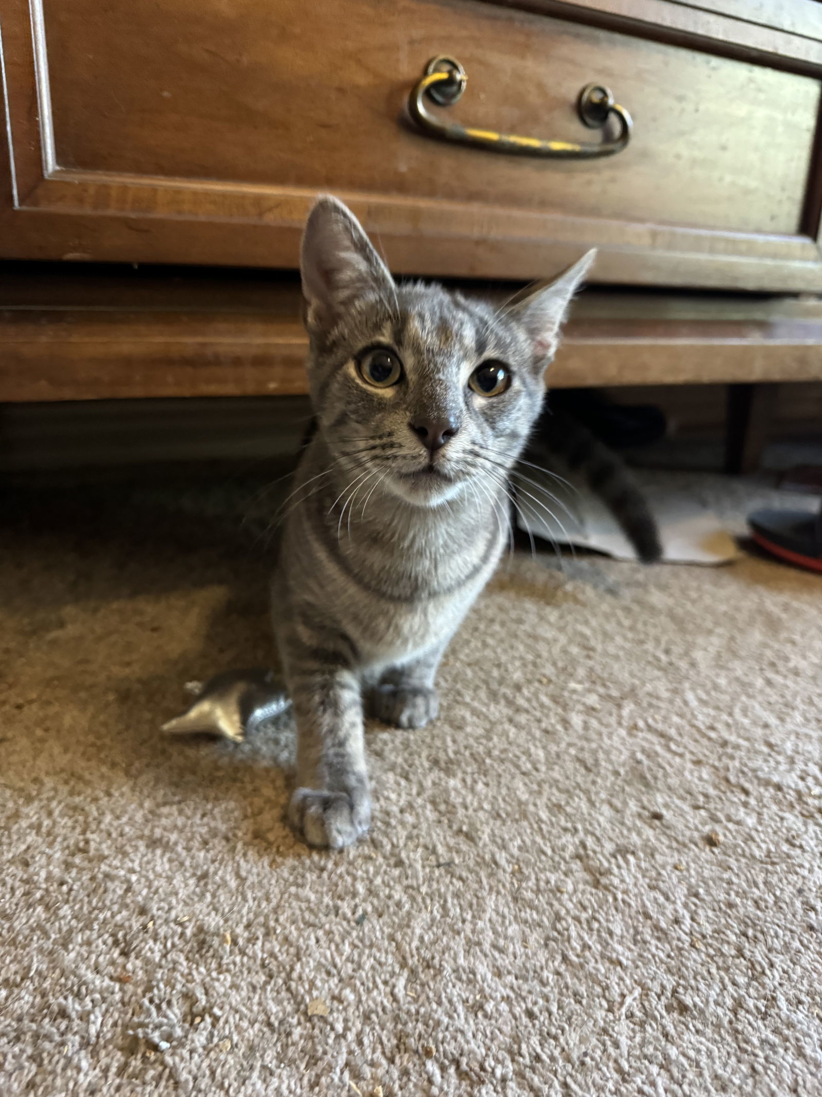 Michael Furbender