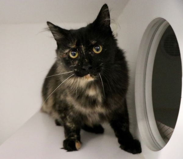 Caramel Corn photo 1