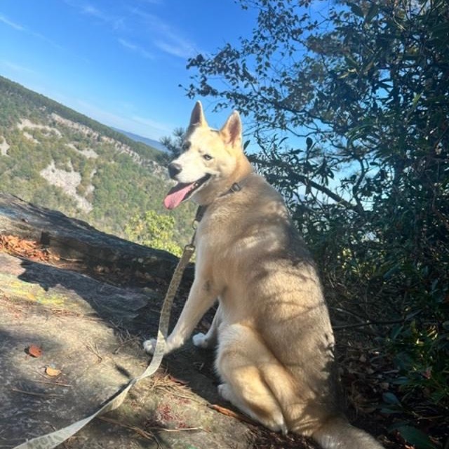 Freyja