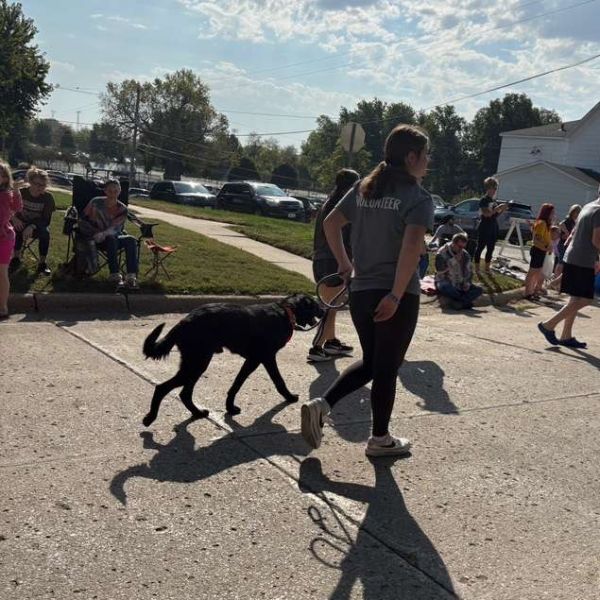 General Lee thumbnail 2