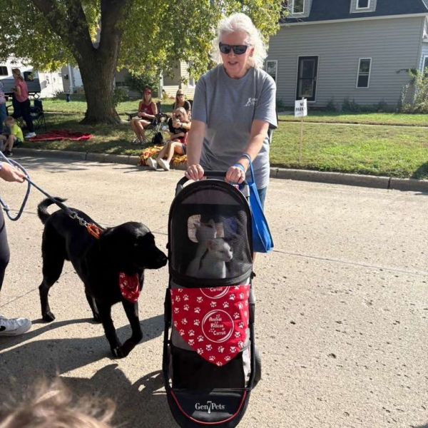 General Lee thumbnail 3