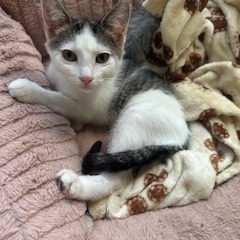 Tailgate Meet Me At photo 1