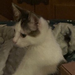 Tailgate Meet Me At thumbnail 2