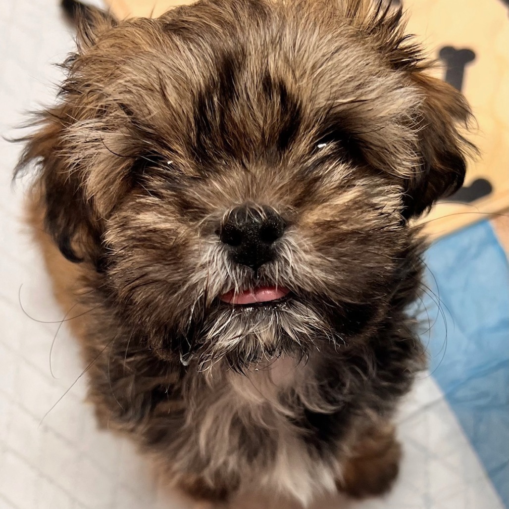 Rosie