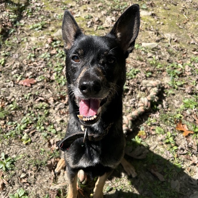 Yoda