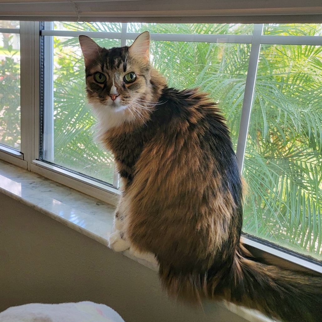 Lula Belle