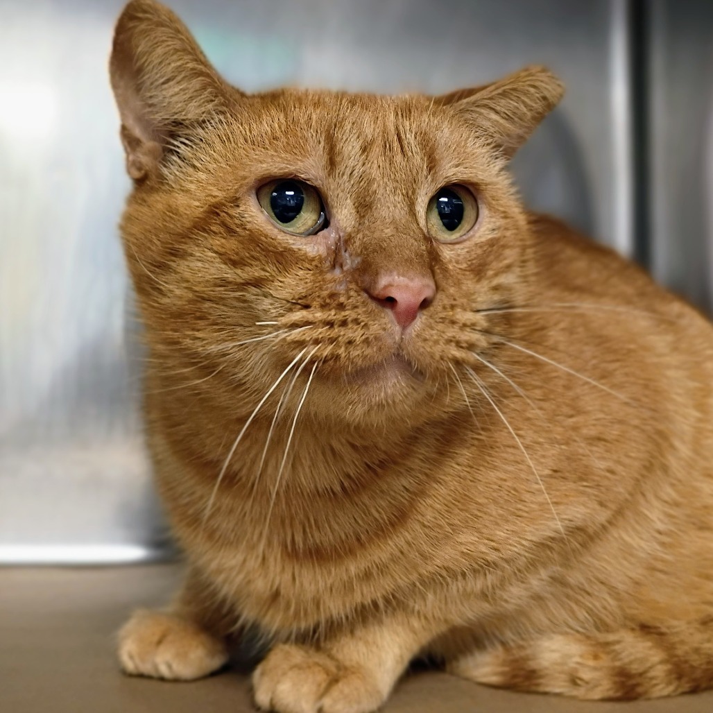 Billy / GCAC-Wildlife-115199