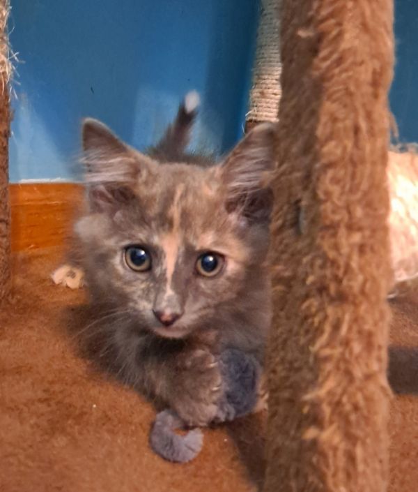 Winifred