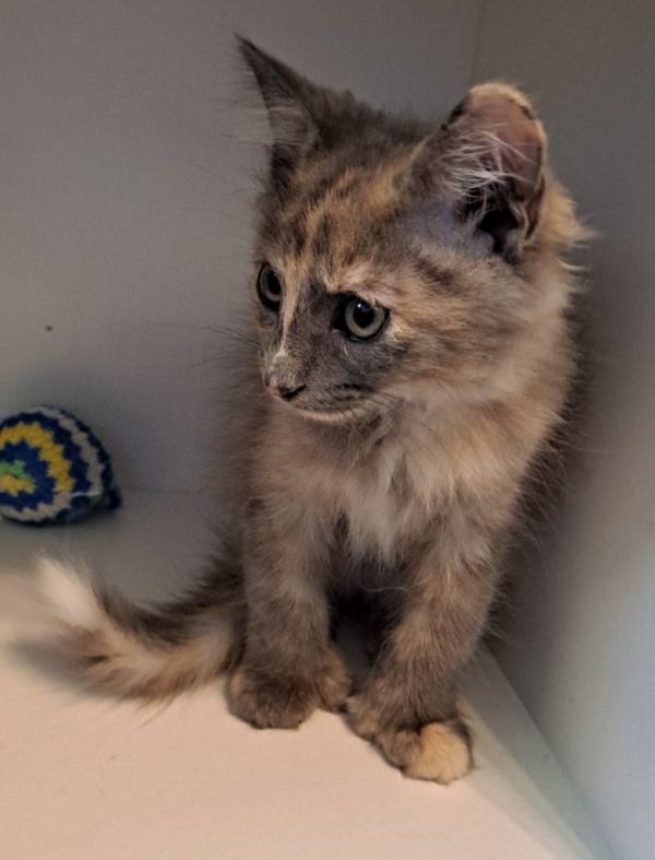 Winifred thumbnail 3