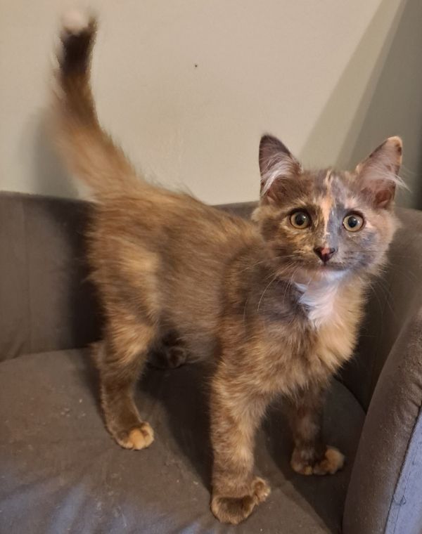 Winifred thumbnail 4