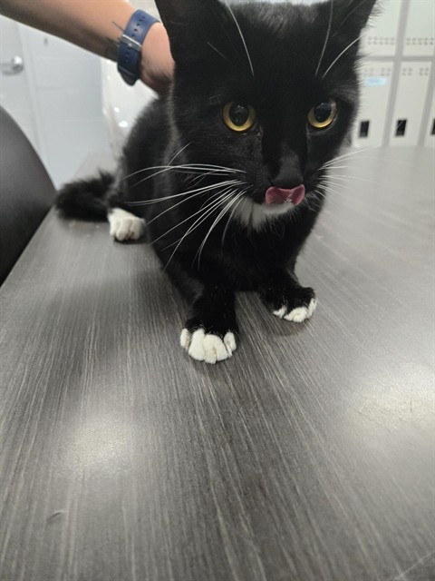 TUX