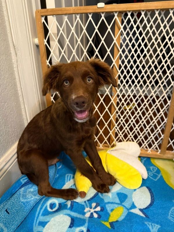 Bubblegum thumbnail 2