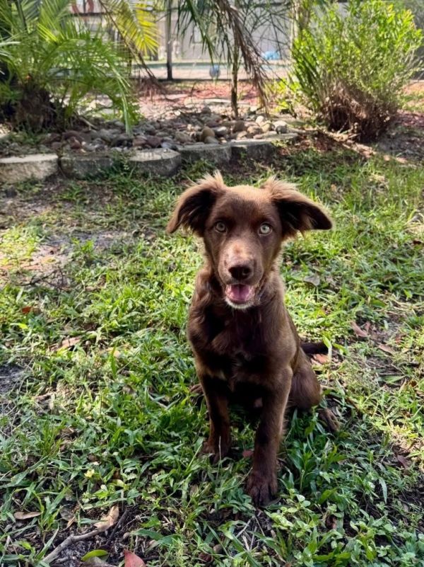 Bubblegum thumbnail 3