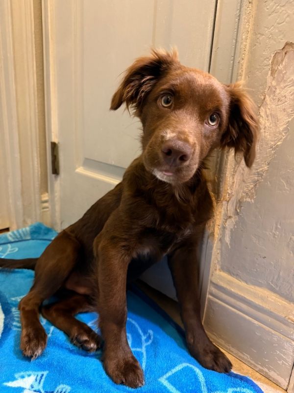 Bubblegum thumbnail 4