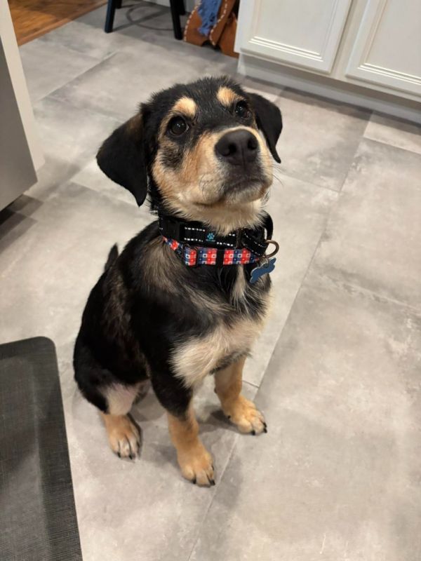 Josephine thumbnail 3