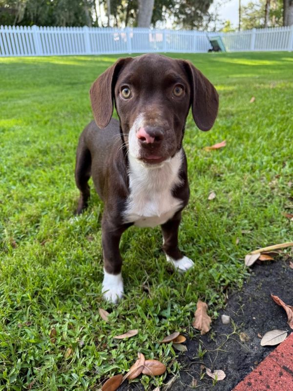 Skittles thumbnail 2