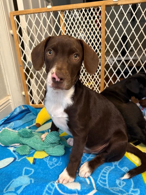 Skittles thumbnail 3