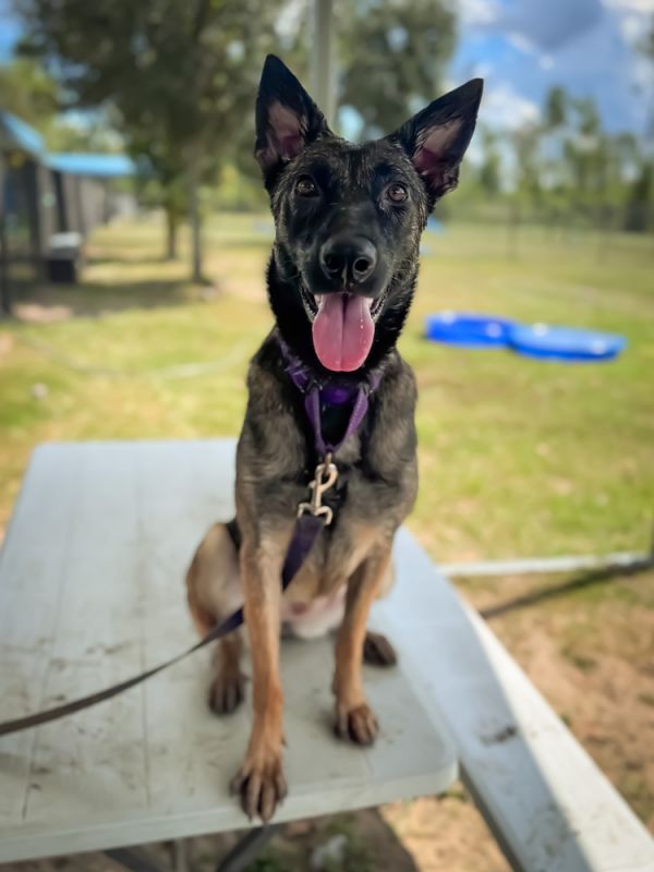 Penny  Located In photo 1