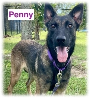Penny  Located In thumbnail 2
