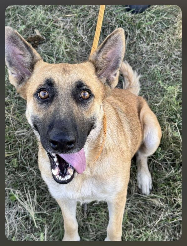 Lucy Fka Coco  photo 1