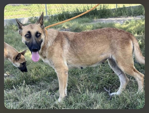 Lucy Fka Coco  thumbnail 2