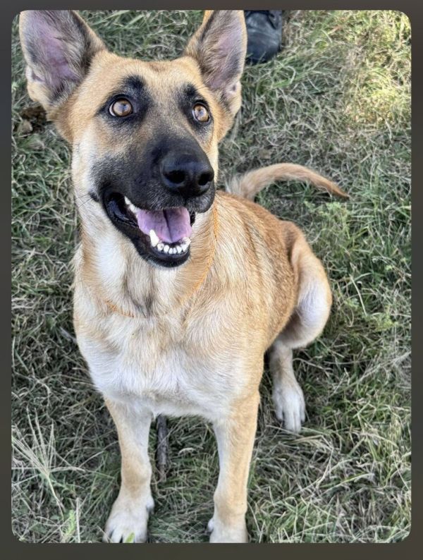 Lucy Fka Coco  thumbnail 3