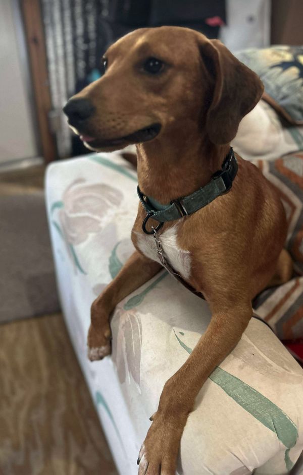 Huck Finn thumbnail 3