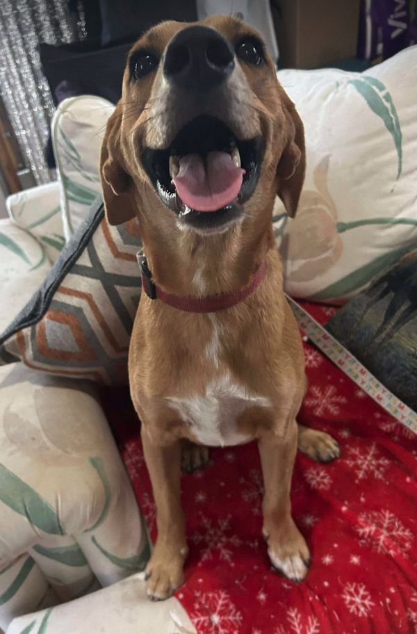 Tom Sawyer thumbnail 2