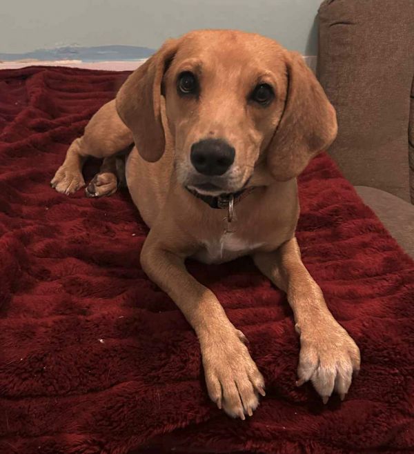 Tom Sawyer thumbnail 3