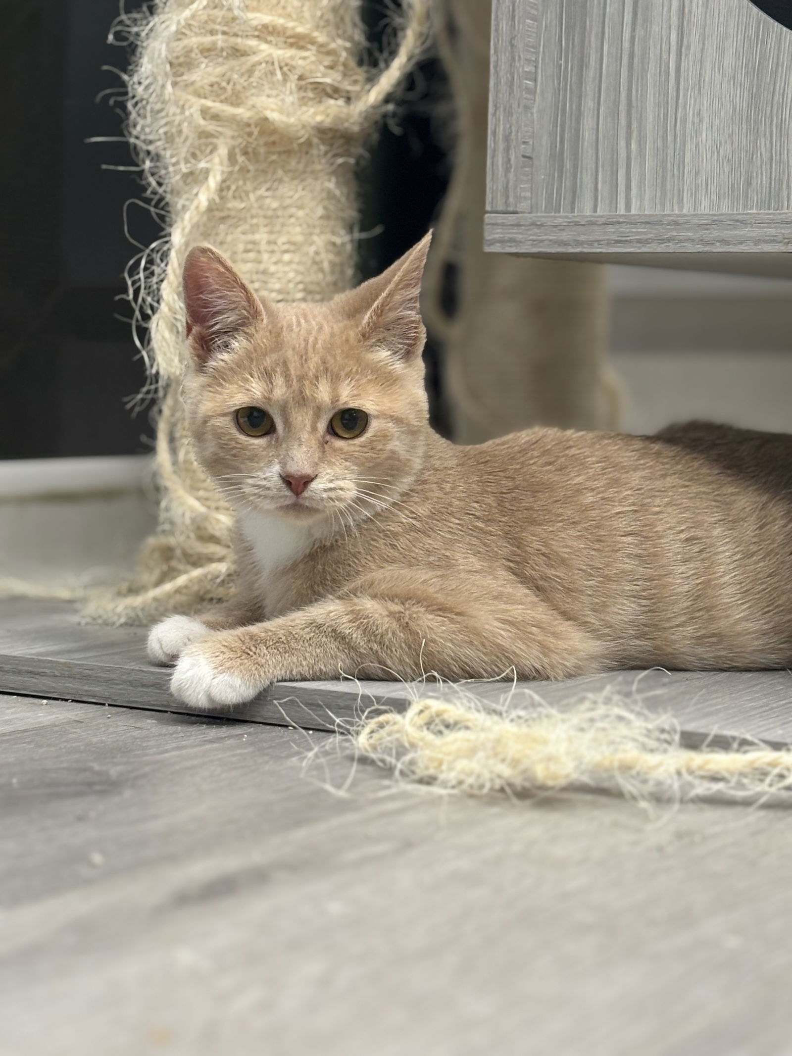 Sprout - Must Apply in Person