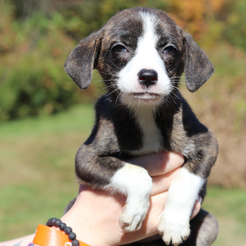 CT Iridessa avail Oct 11 (Workspace- Manchester, CT)