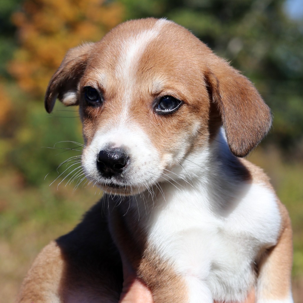 CT Terence avail Oct 11 (Workspace- Manchester, CT)