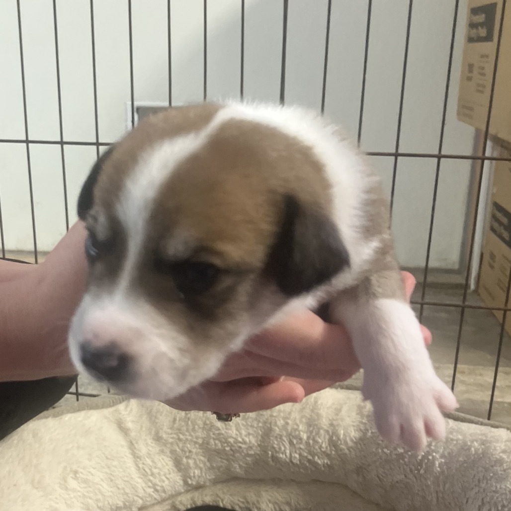 CT Terence avail Oct 11 (Workspace- Manchester, CT)
