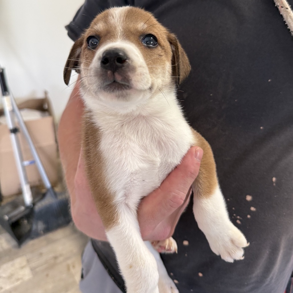 CT Terence avail Oct 11 (Workspace- Manchester, CT)