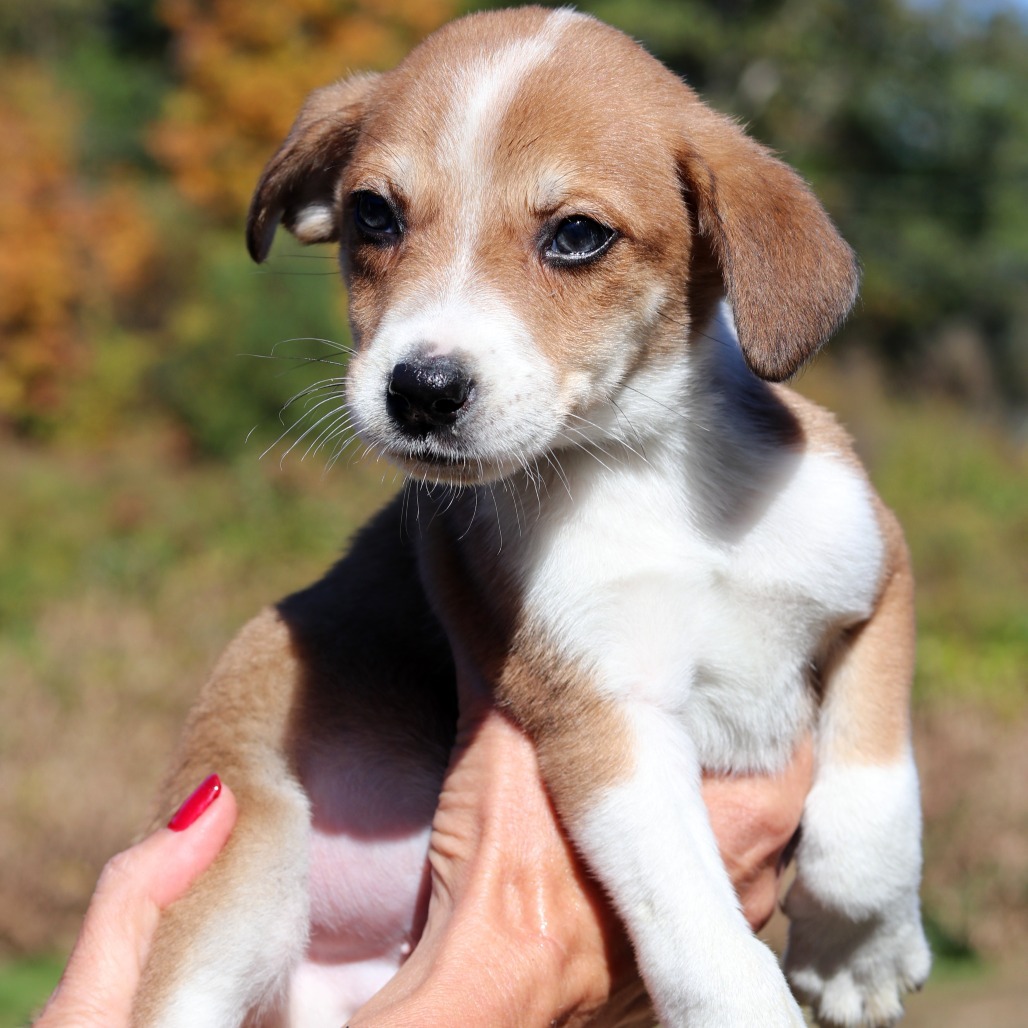 CT Terence avail Oct 11 (Workspace- Manchester, CT)