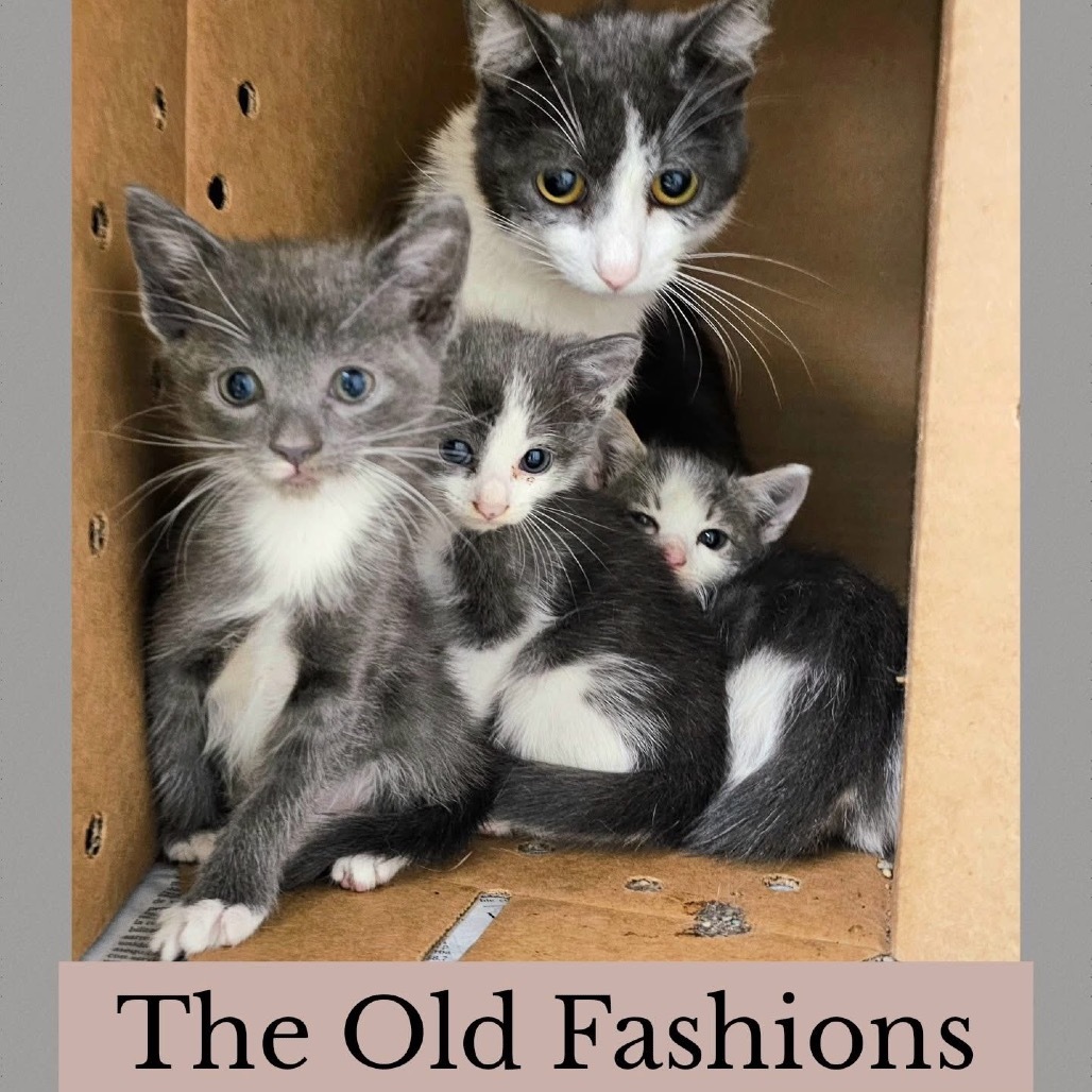 Old Fashion