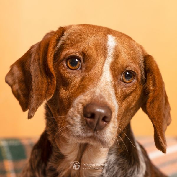 Freckles thumbnail 3