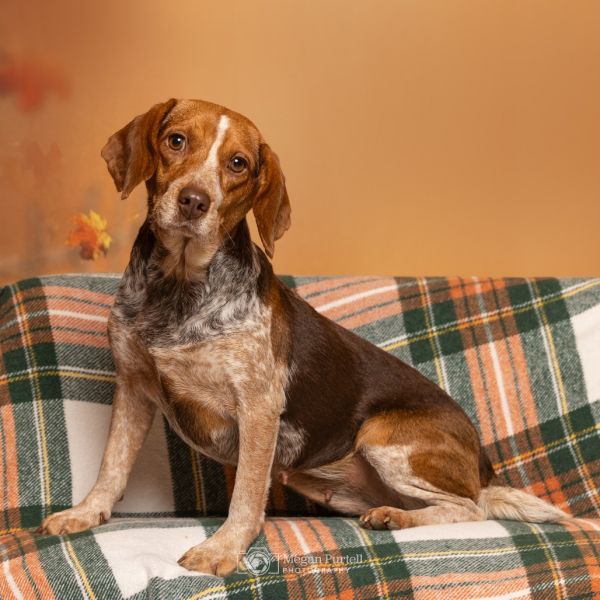 Freckles thumbnail 4