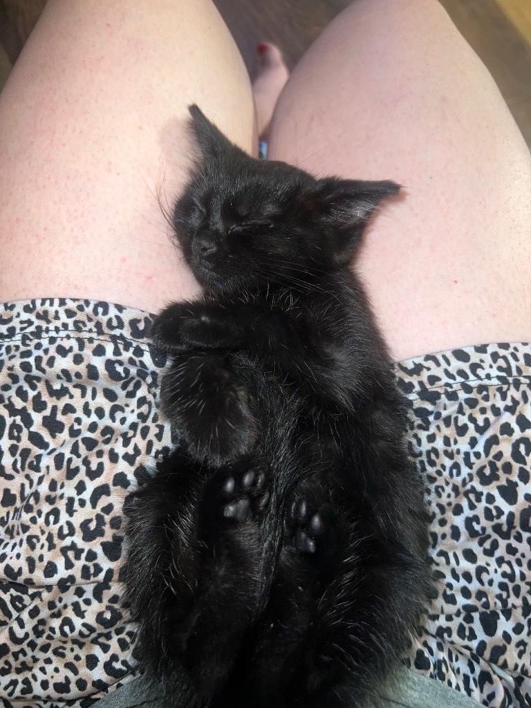 Salem
