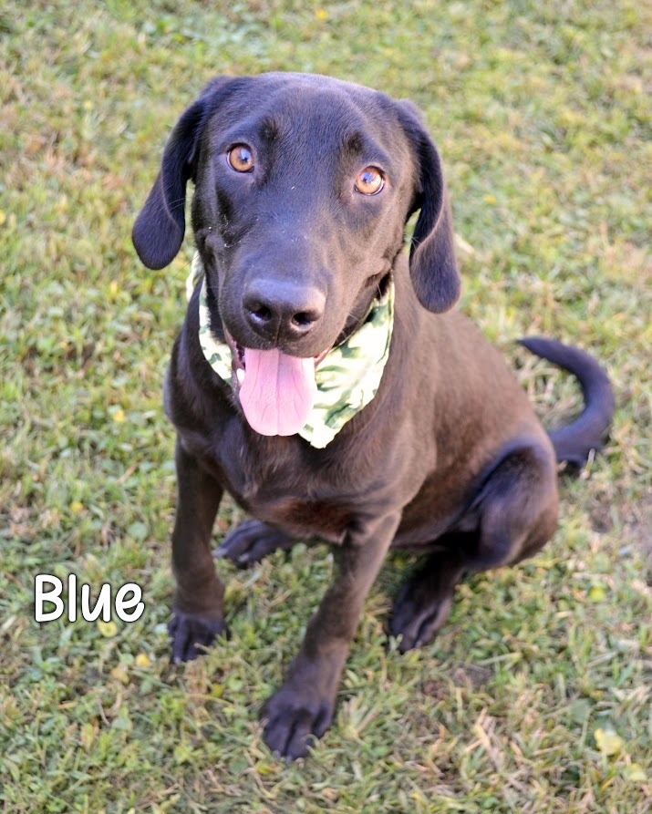 Blue