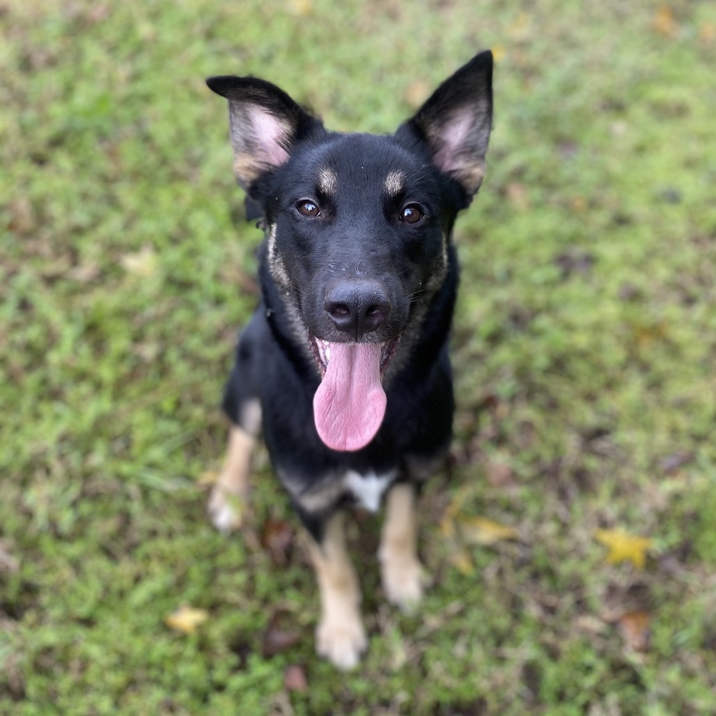 Axle